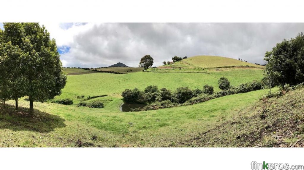 Vendo Hermosa Finca Guasca - Finca en Guasca, Cundinamarca